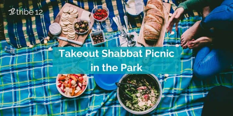 Takeout Shabbat Picnic in the Park!