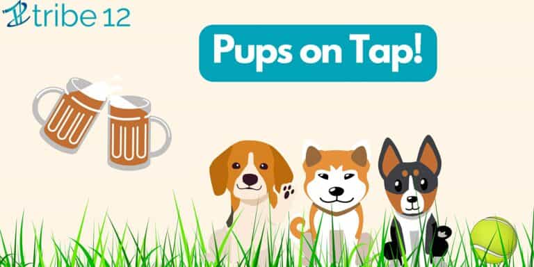 Pups on Tap