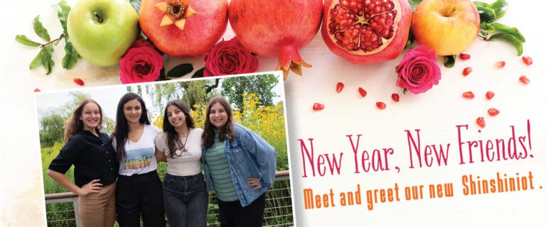 New Year, New Friends! Meet and greet our new Shinshiniot