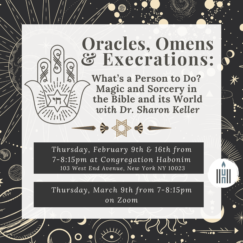 Oracles Insta 1