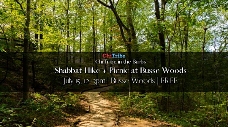 ChiTribe  Shabbat Hike + Picnic Busse Woods