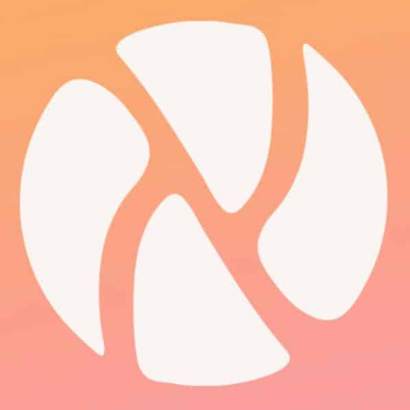 SOUL X Logo