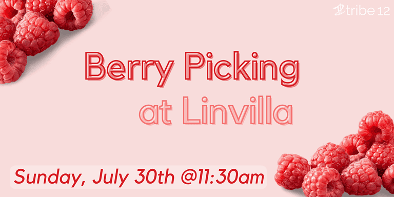 Berry Picking at Linvilla