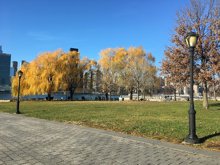 Shabbat in the Park (LIC)