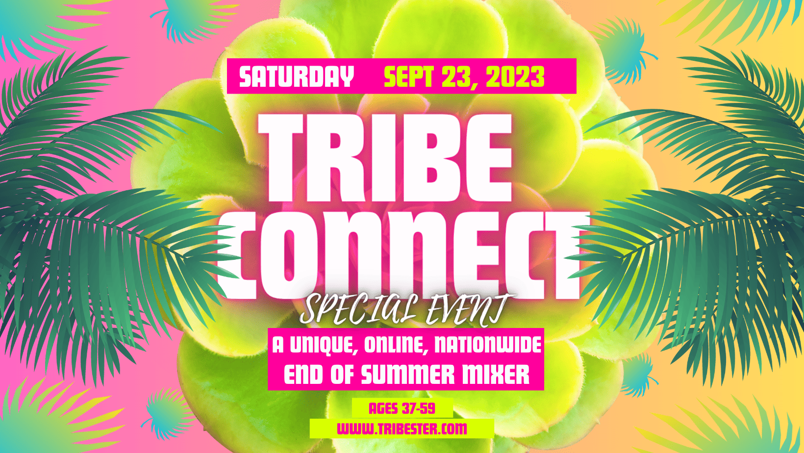 Tribe Connect Tribe Connect Jewish Singles mixer online