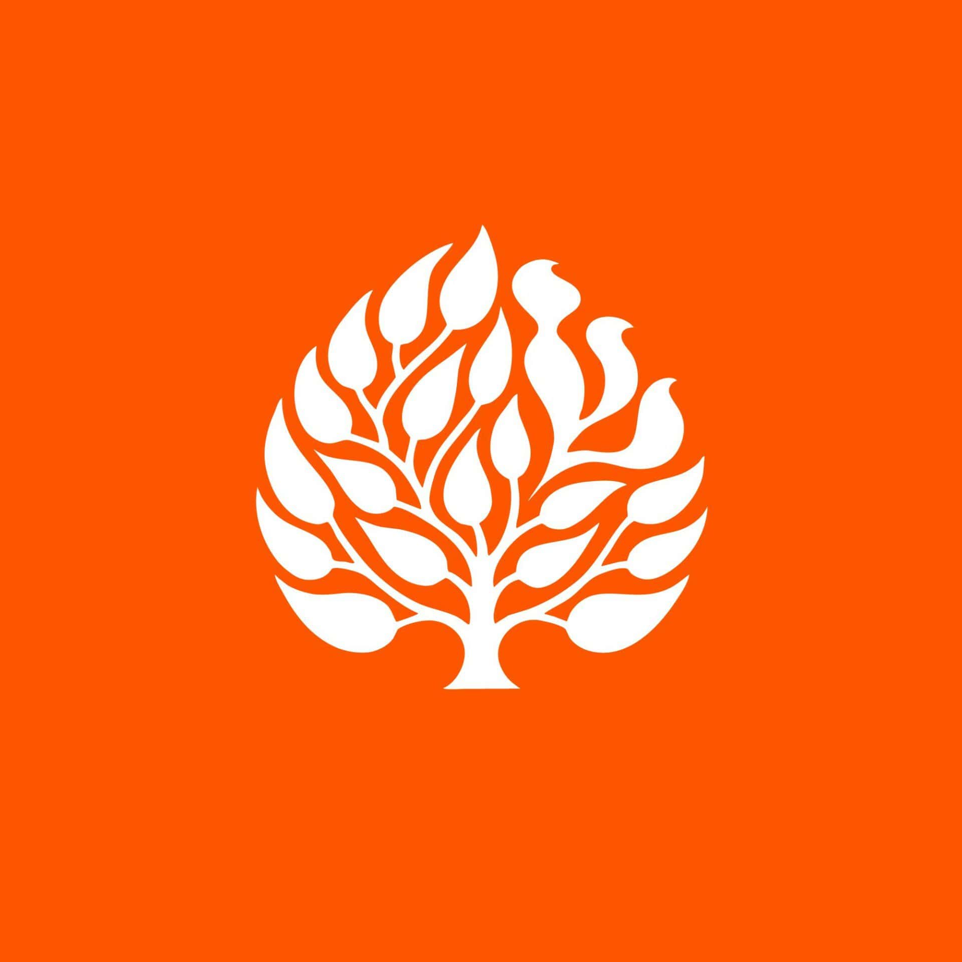 Reshet Ramah: Alumni Network Logo