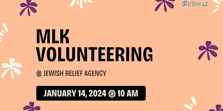 MLK Volunteering at JRA