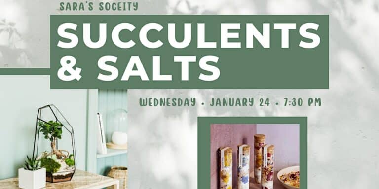 Succulents & Salts - Sara's Society