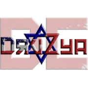 Druzya DC: Jews of the FSU Logo