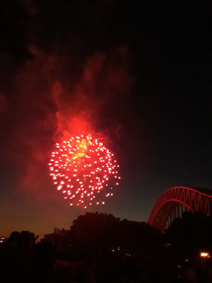 Fireworks in Astoria Park: A pre-4th of July Celebration