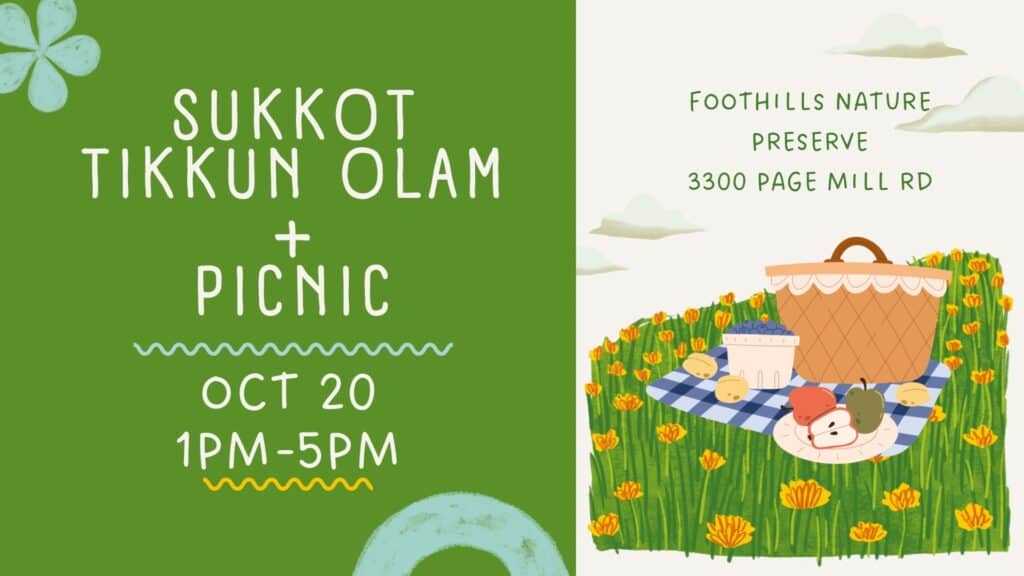 Volunteer Outdoors in Palo Alto at Foothills Nature Preserve