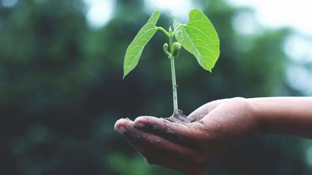 Celebrate Earth Day: Composting Workshop