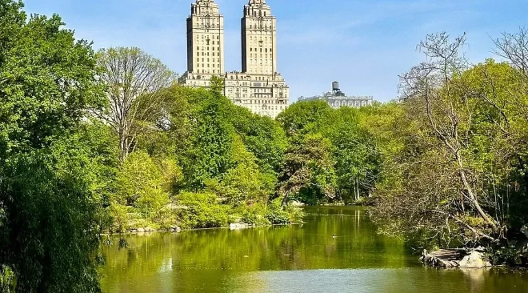 Shabbat Lunch in Central Park