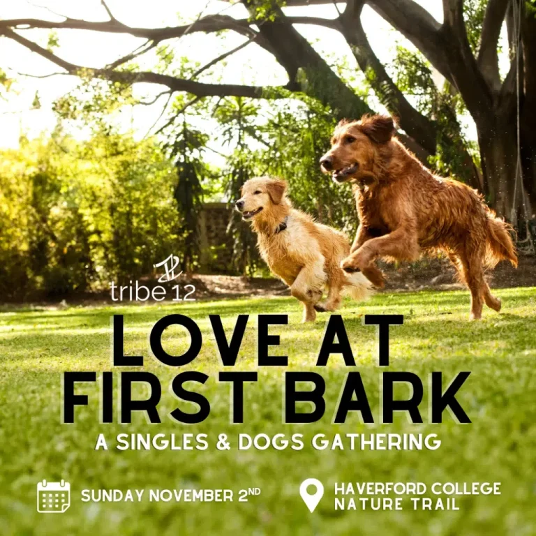 Love At First Bark: A Singles & Dogs Gathering