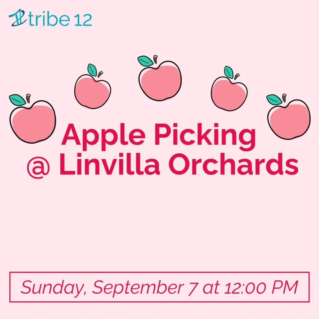 Tourist Tribe: Apple Picking