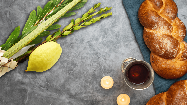 Sukkot Under the Stars: Havdalah for 20s + 30s