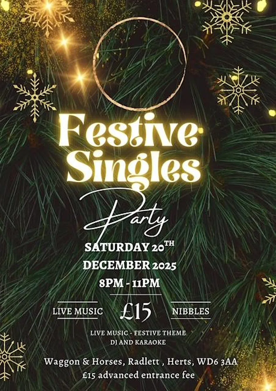 Festive Singles Mixer Party