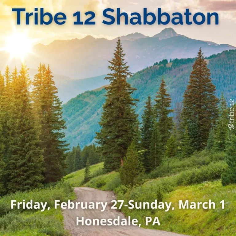 Tribe 12 Poconos Shabbaton