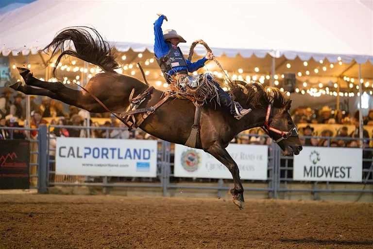 A Day at the Rodeo!