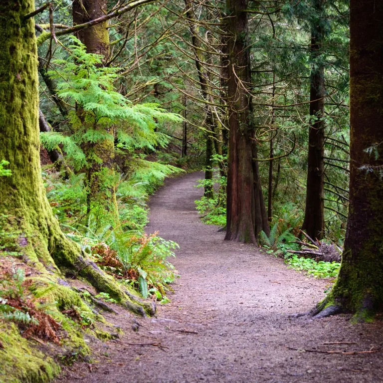 TRIBE (20s-30s) Hike and Learn (Lay-led)