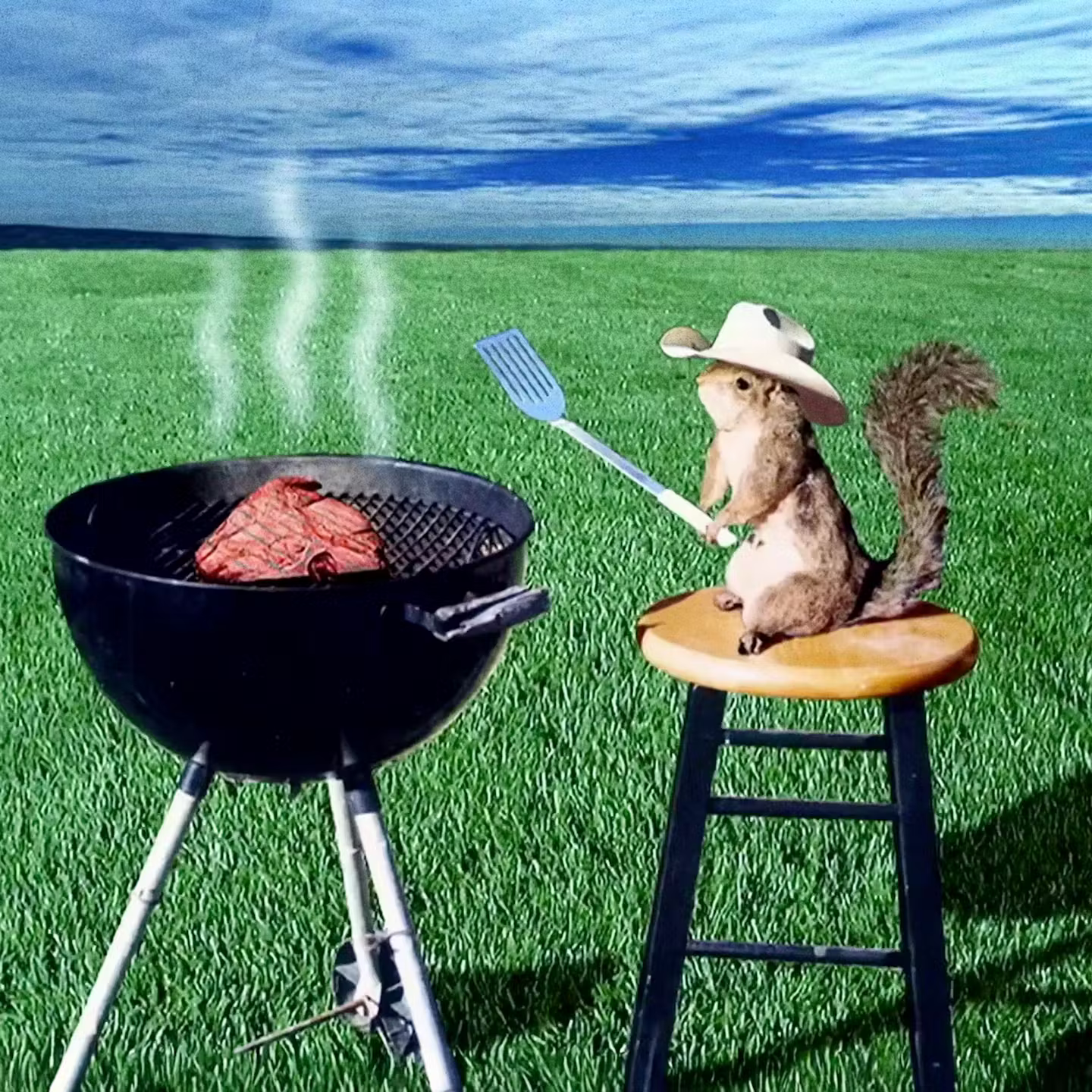 Rock Creek Park Hike