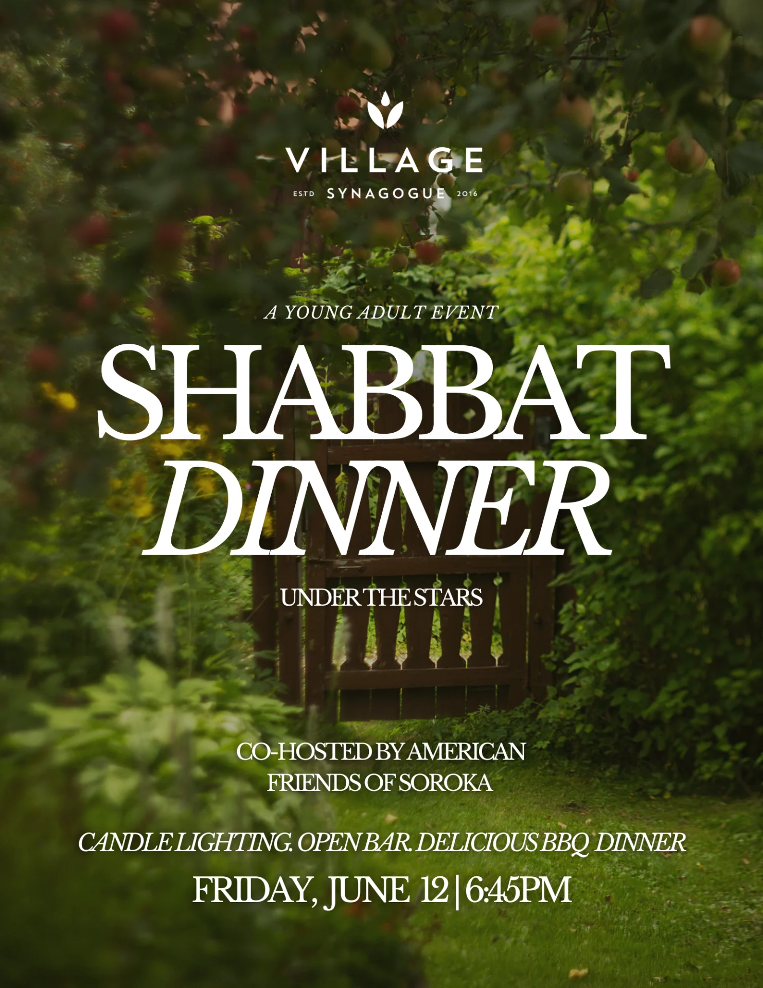Shabbat Dinner Under The Stars