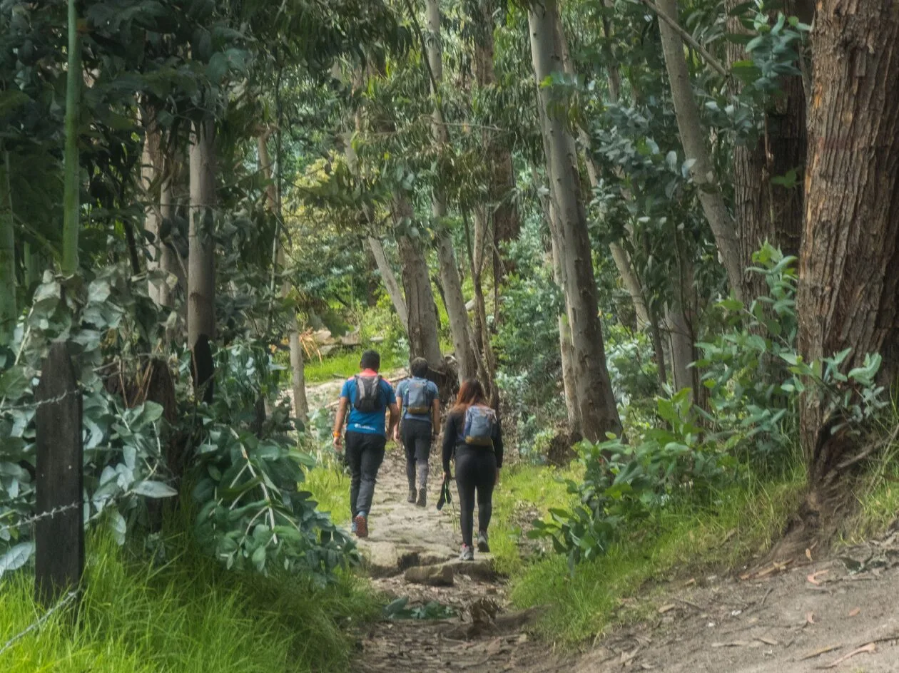 Trails & Traditions: Walking Into the New Year