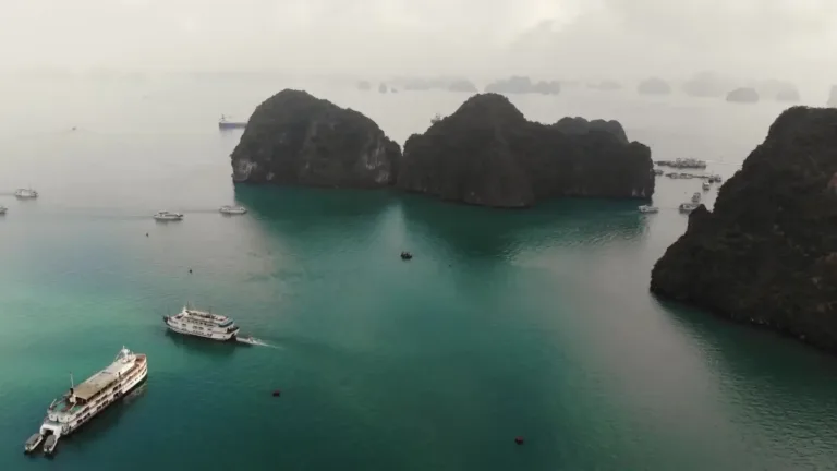 The Vietnam Trip