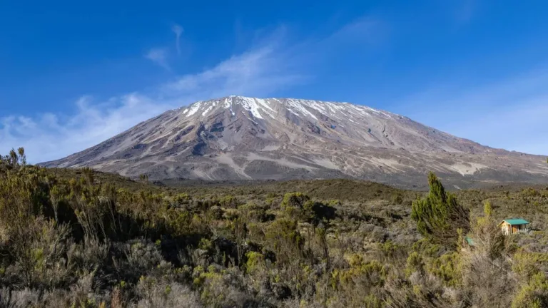 Kilimanjaro Trek