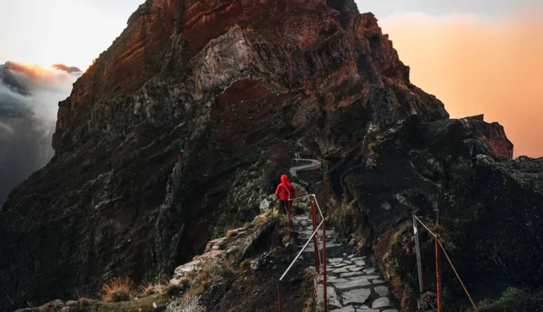 Madeira: Hike The Wild