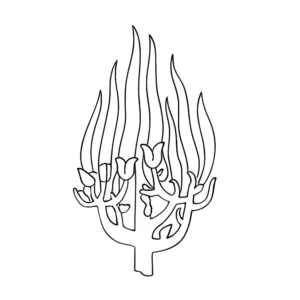 Congregation Anshe Emeth