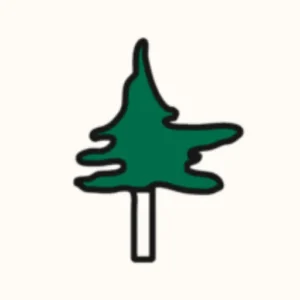 Camp Tawonga