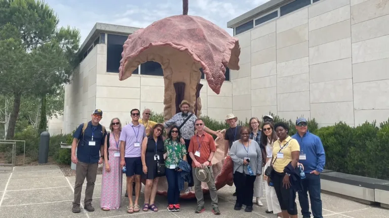 Faculty Fellowship Program in Israel